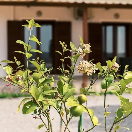 Σπίτι διακοπών Alonia View House Asklipiion
